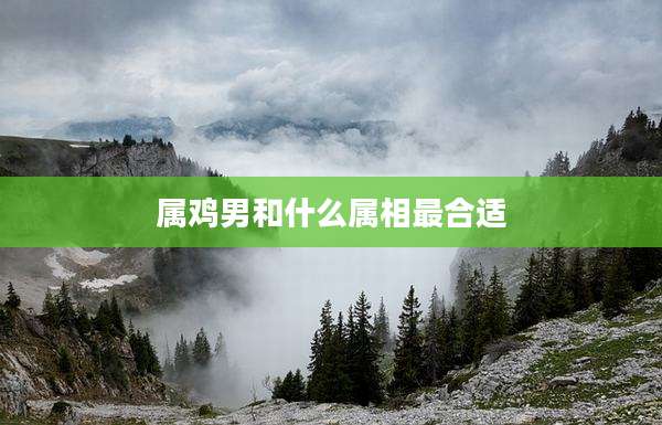 属鸡男和什么属相最合适