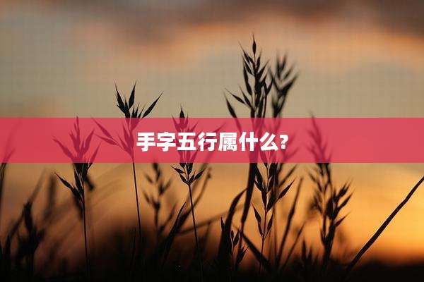 手字五行属什么?