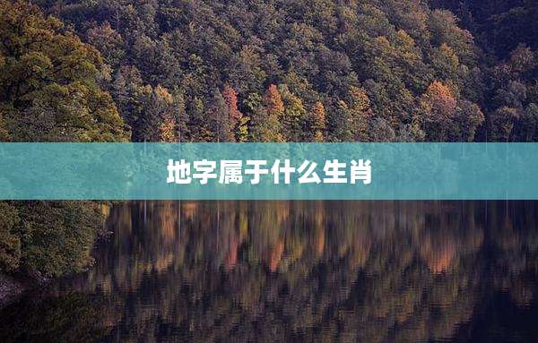 地字属于什么生肖