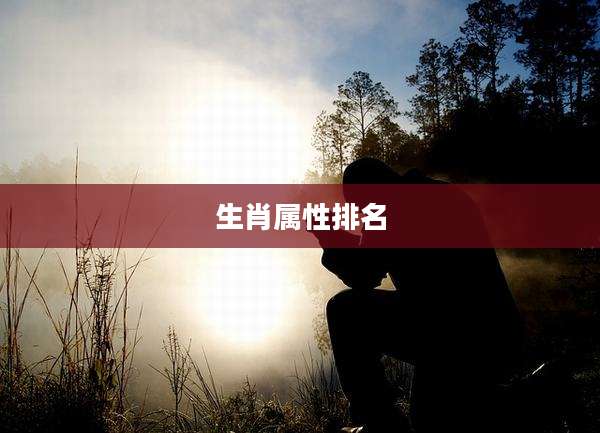 生肖属性排名