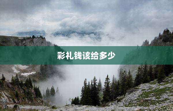彩礼钱该给多少