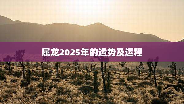 属龙2025年的运势及运程
