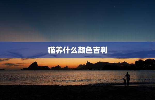 猫养什么颜色吉利
