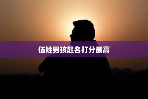 伍姓男孩起名打分最高