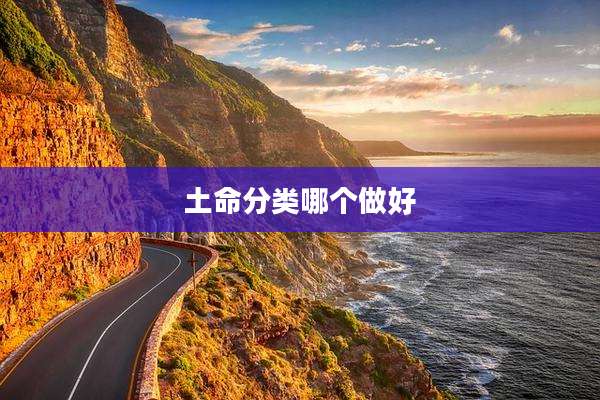 土命分类哪个做好