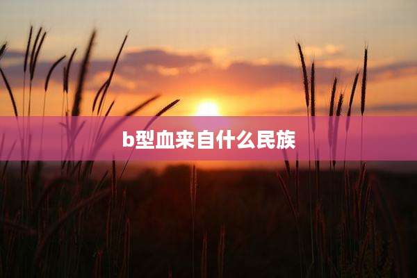 b型血来自什么民族