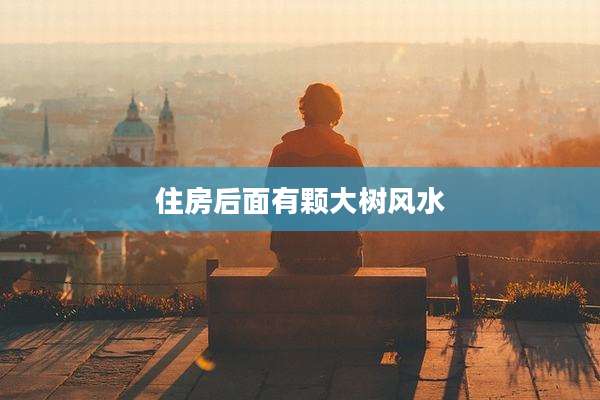 住房后面有颗大树风水