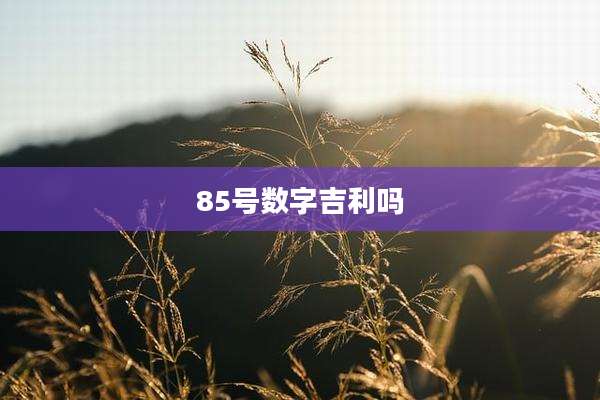85号数字吉利吗