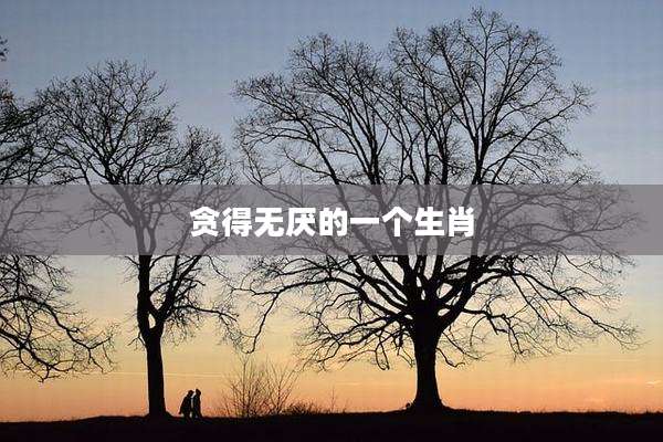 贪得无厌的一个生肖