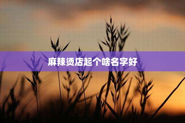 麻辣烫店起个啥名字好