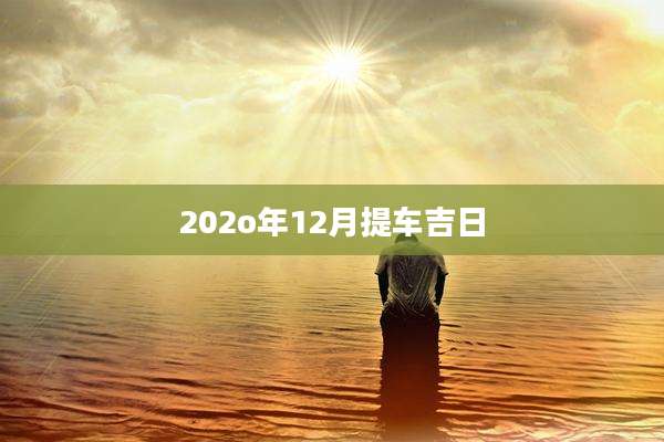 202o年12月提车吉日