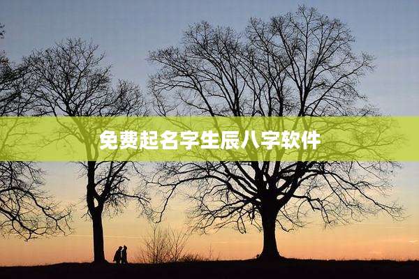 免费起名字生辰八字软件