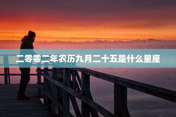 二零零二年农历九月二十五是什么星座