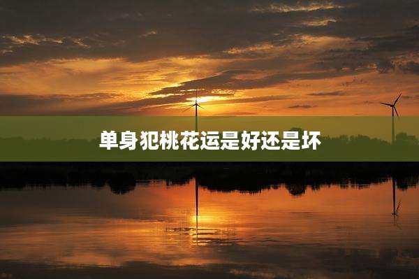 单身犯桃花运是好还是坏