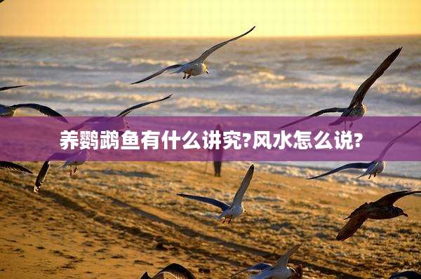养鹦鹉鱼有什么讲究?风水怎么说?