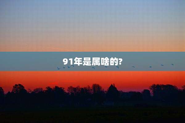 91年是属啥的?