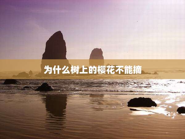 为什么树上的樱花不能摘