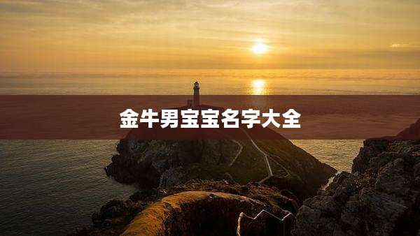 金牛男宝宝名字大全