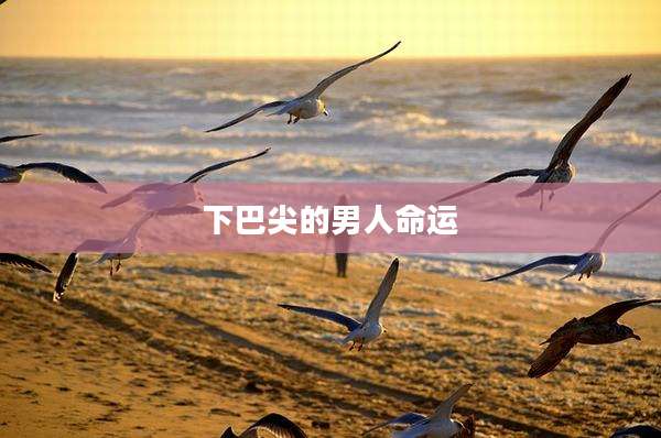 下巴尖的男人命运