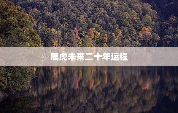 属虎未来二十年运程