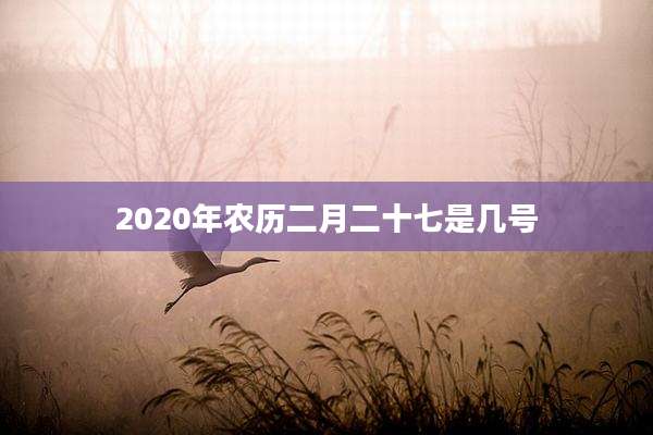 2020年农历二月二十七是几号
