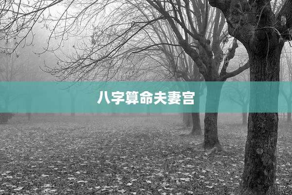 八字算命夫妻宫