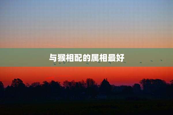 与猴相配的属相最好