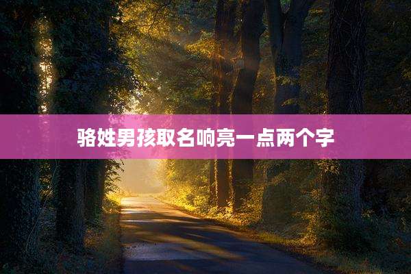 骆姓男孩取名响亮一点两个字