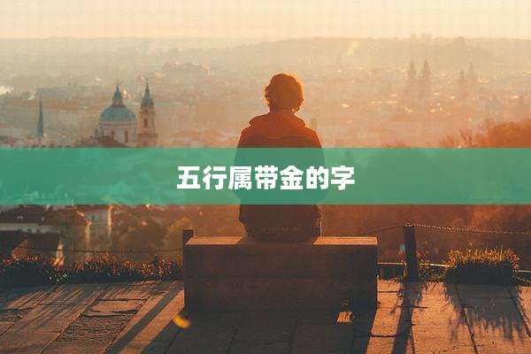 五行属带金的字