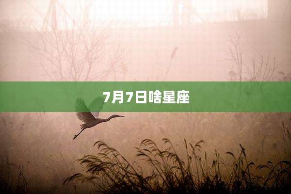7月7日啥星座