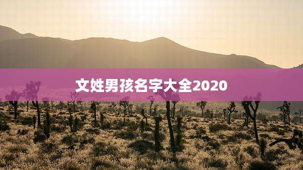 文姓男孩名字大全2020
