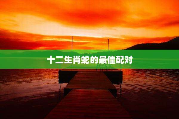 十二生肖蛇的最佳配对