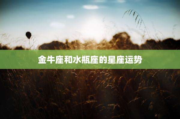 金牛座和水瓶座的星座运势