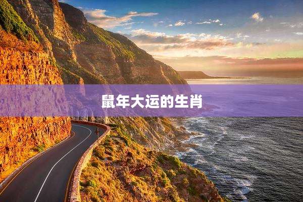鼠年大运的生肖
