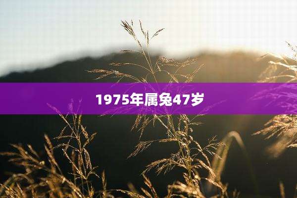 1975年属兔47岁