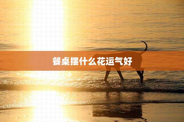 餐桌摆什么花运气好