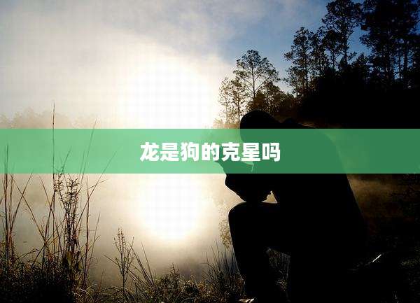 龙是狗的克星吗