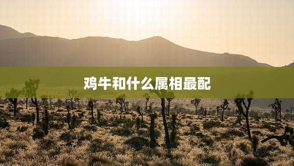 鸡牛和什么属相最配