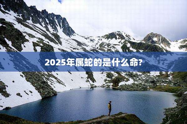2025年属蛇的是什么命?