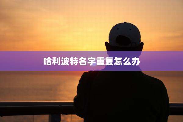 哈利波特名字重复怎么办