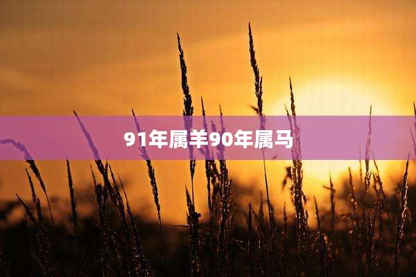 91年属羊90年属马