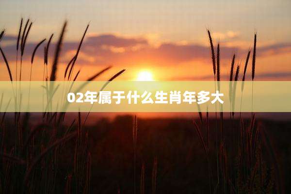 02年属于什么生肖年多大