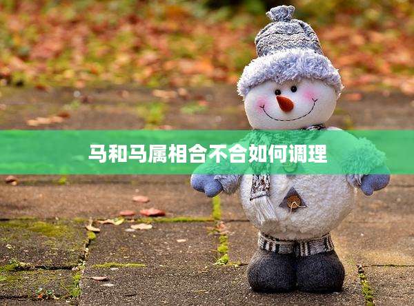 马和马属相合不合如何调理