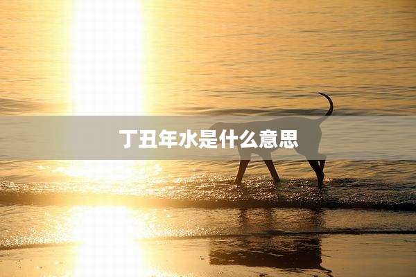 丁丑年水是什么意思