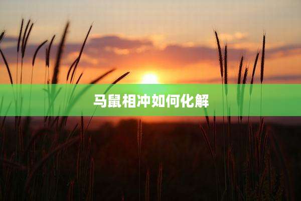 马鼠相冲如何化解
