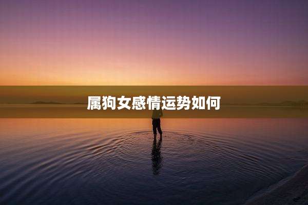 属狗女感情运势如何