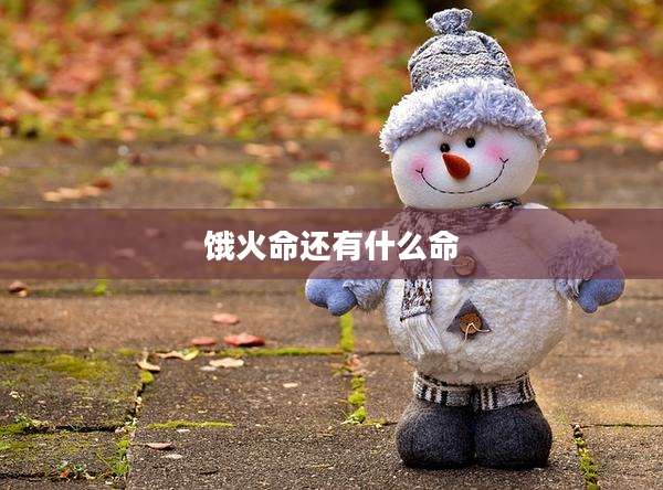 饿火命还有什么命