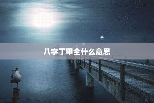 八字丁甲全什么意思