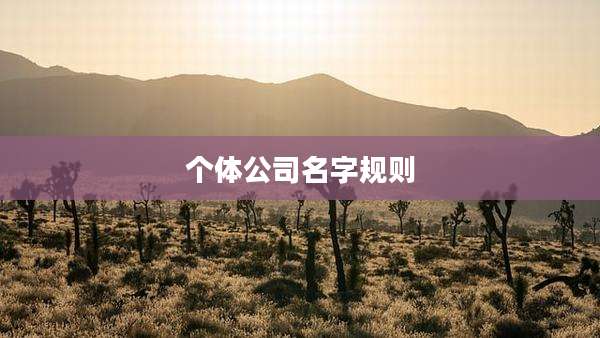个体公司名字规则