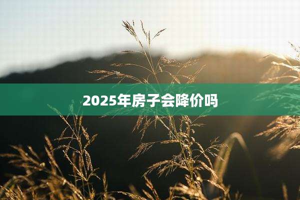 2025年房子会降价吗